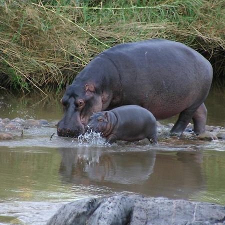 River House Hoedspruit Zewnętrze zdjęcie